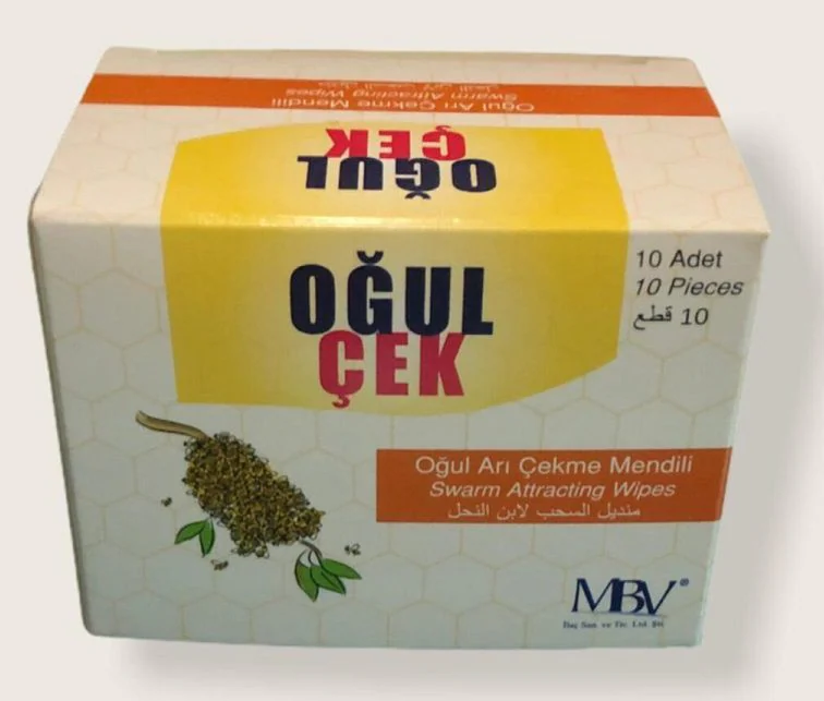 Oğul Çek Mendil