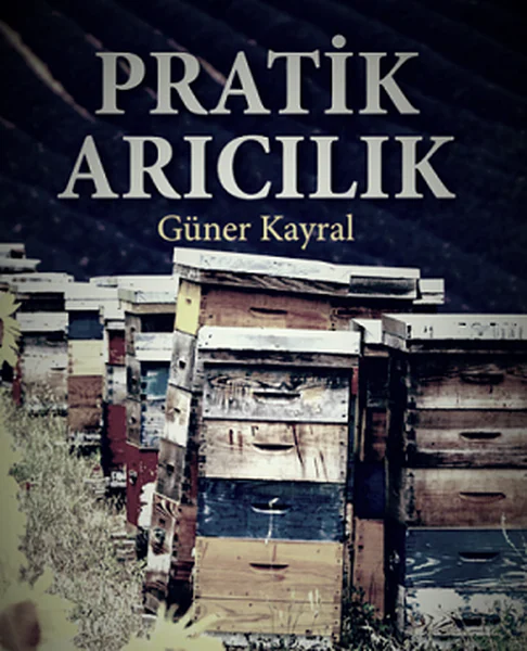 Pratik Arıcılık