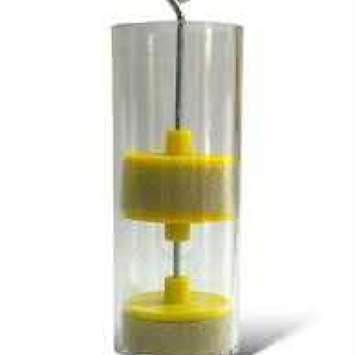 Ana Arı İşaretleme Tüpü