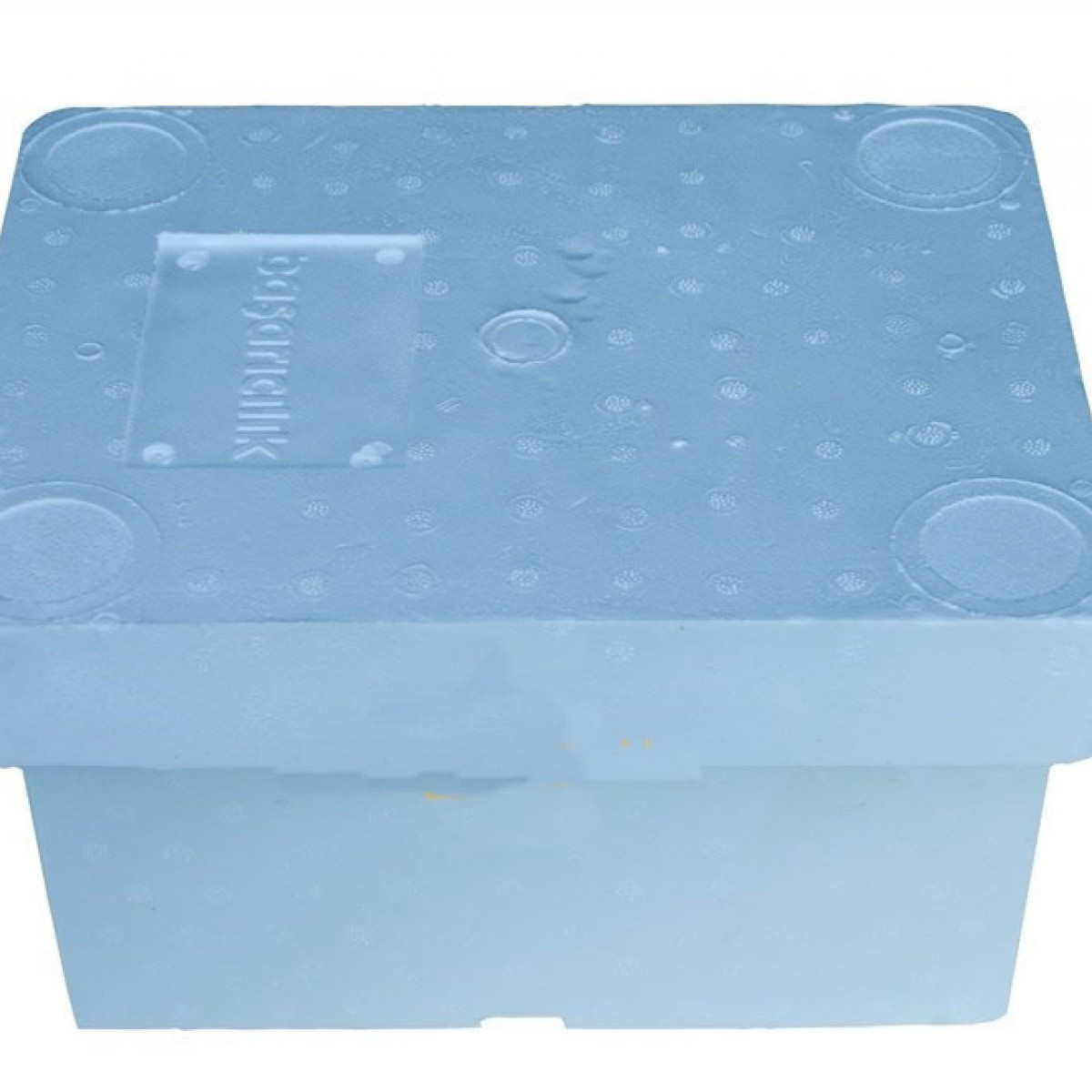 Ana Arı Çiftleştirme Kutusu 