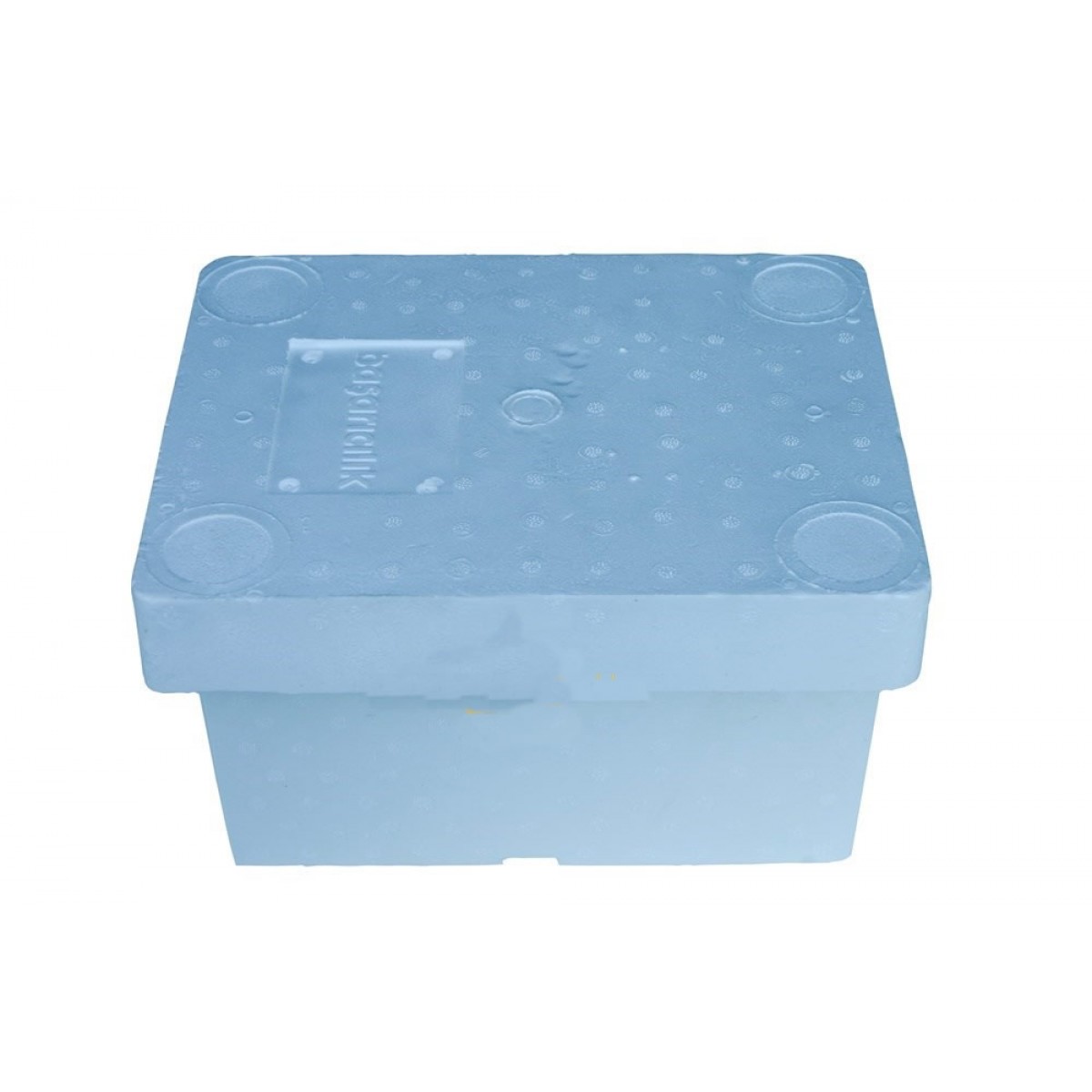 Ana Arı Çiftleştirme Kutusu 