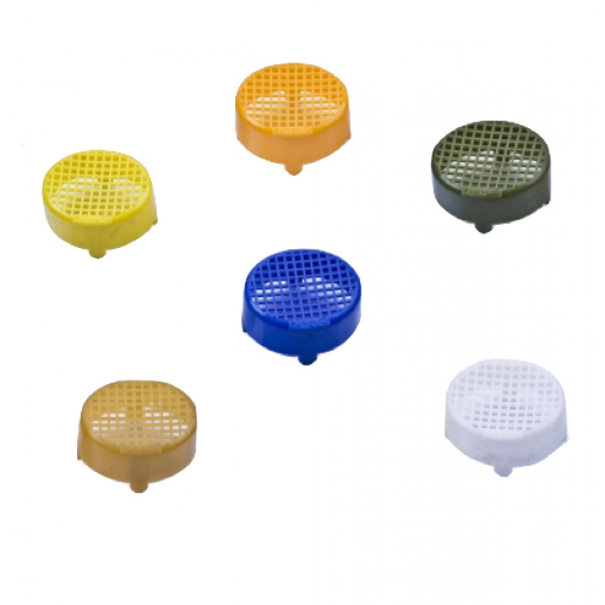 Ana Arı Memesi Hapis