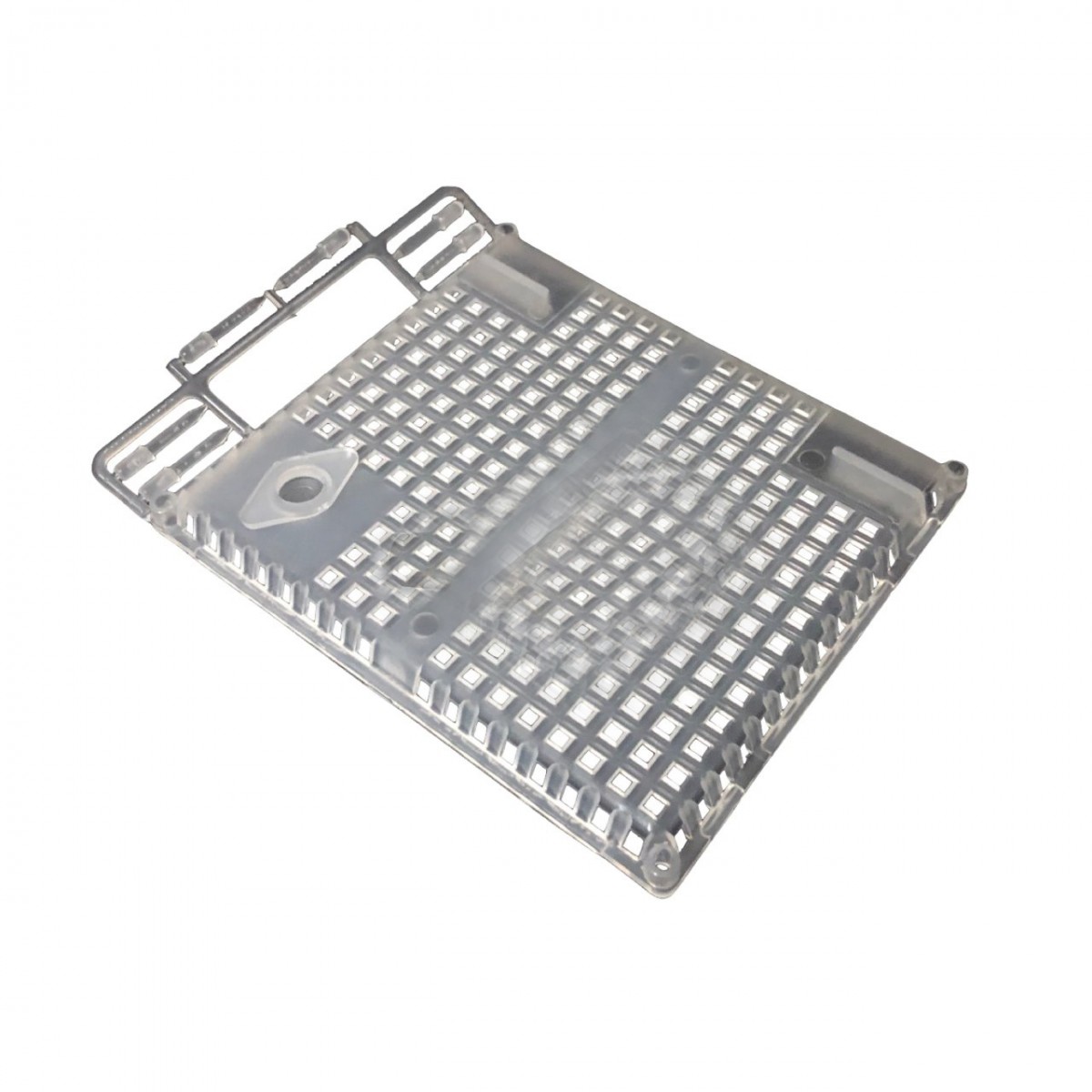 Ana Arı Hapsetme (Çivili)