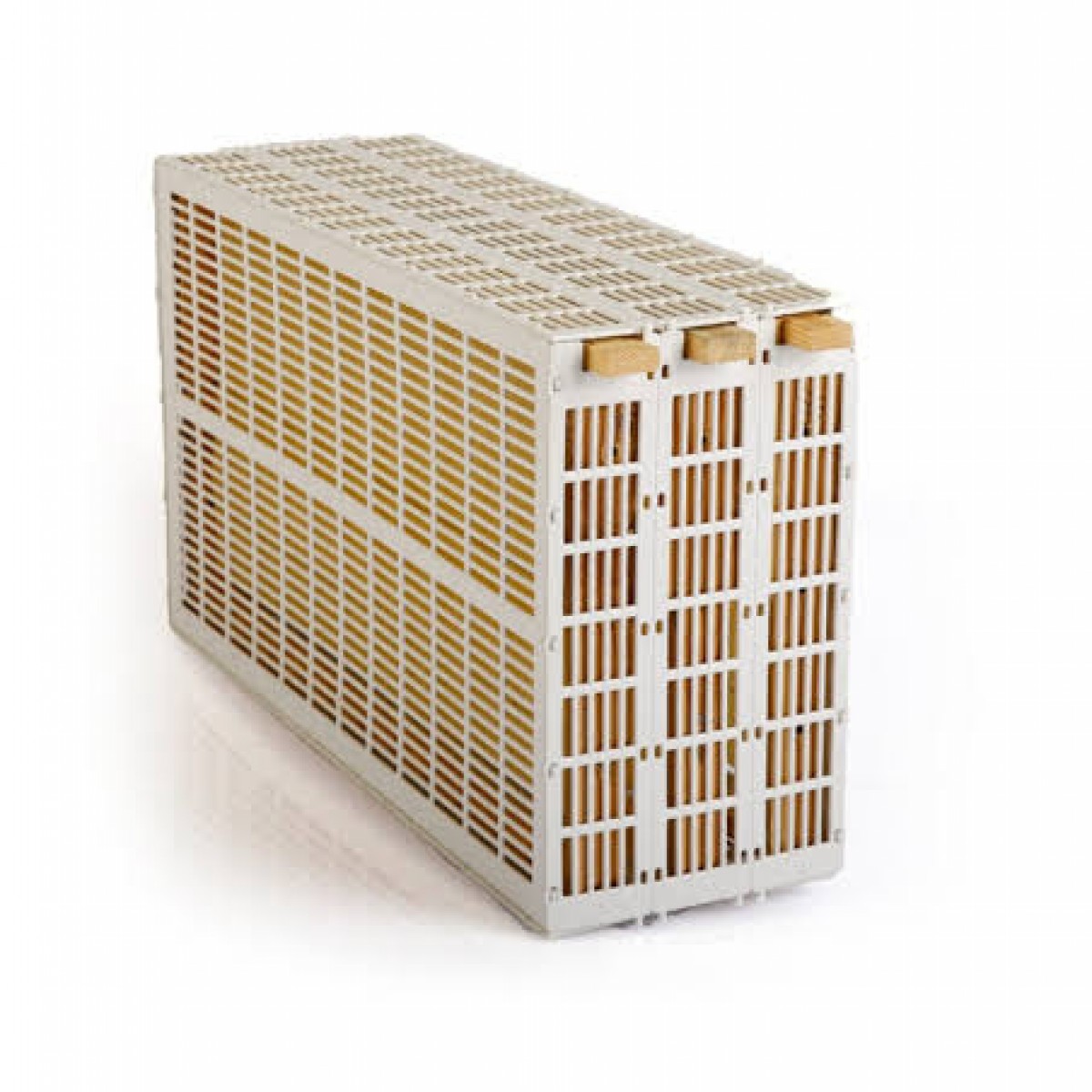 Ana Arı Hapis Çerçevesi (3'lü)