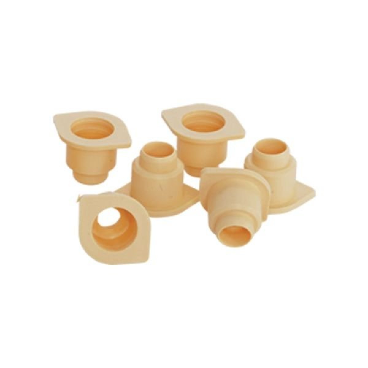 Ana Arı Hücre Tutucu