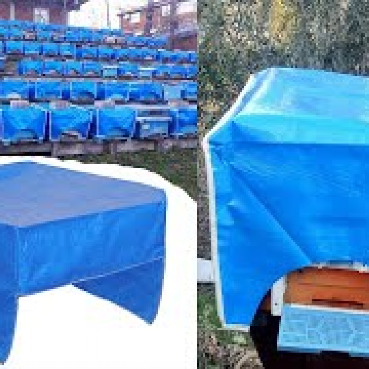 Kovan Brandası (Kovan Çadırı)