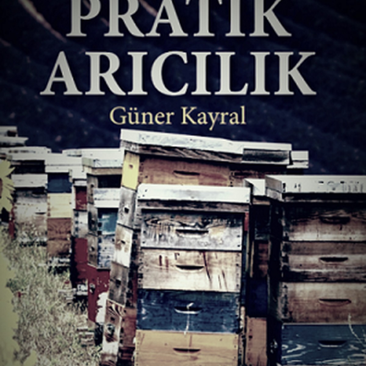 Pratik Arıcılık